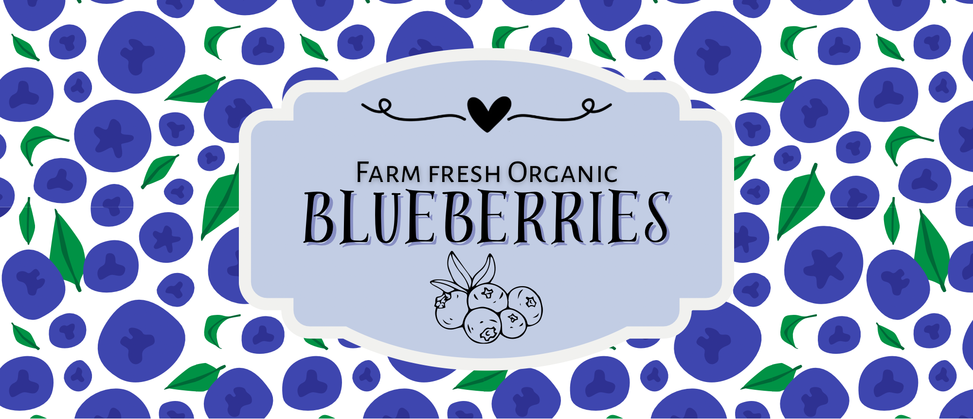 Farm Fresh Organic Blueberries