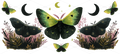 BOHO GREEN MOTHS
