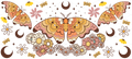 RETRO MOTH