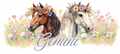 Gemini Duality Horses