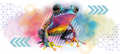 Graffiti Frog UV DTF Wrap