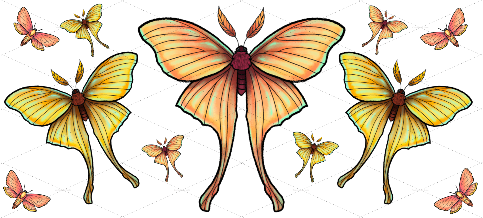 YELLOW ORANGE MOTHS