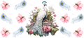 Watercolor White Peacock