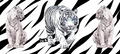 White Tiger UV DTF Wrap